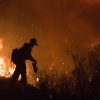 San Diego,CA.,October 26, 2007--Northern California fire crews set fire backburn to stop the Poomacha fire from advancing westward. Currently the fires in Southern California have burned more than 355,000 acres.
FEMA photo/Andrea BooherSan Diego,CA.,October 26, 2007--Northern California fire crews set fire backburn to stop the Poomacha fire from advancing westward. Currently the fires in Southern California have burned more than 355,000 acres.
FEMA photo/Andrea Booher